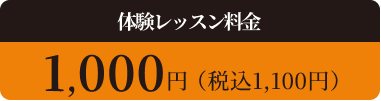 体験レッスン料金：1,000円（税込 1,100円）